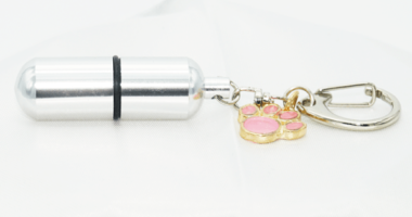 公式 ペットの出張葬儀 訪問火葬なら ペットメモリアル群馬 高崎 前橋 伊勢崎 太田 桐生 Just Another Wordpress Site